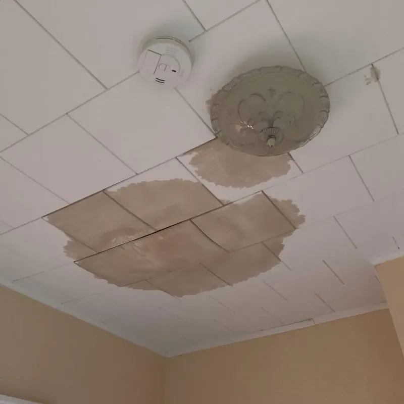 Ceiling Water Damage Repair in Sandstone, MN