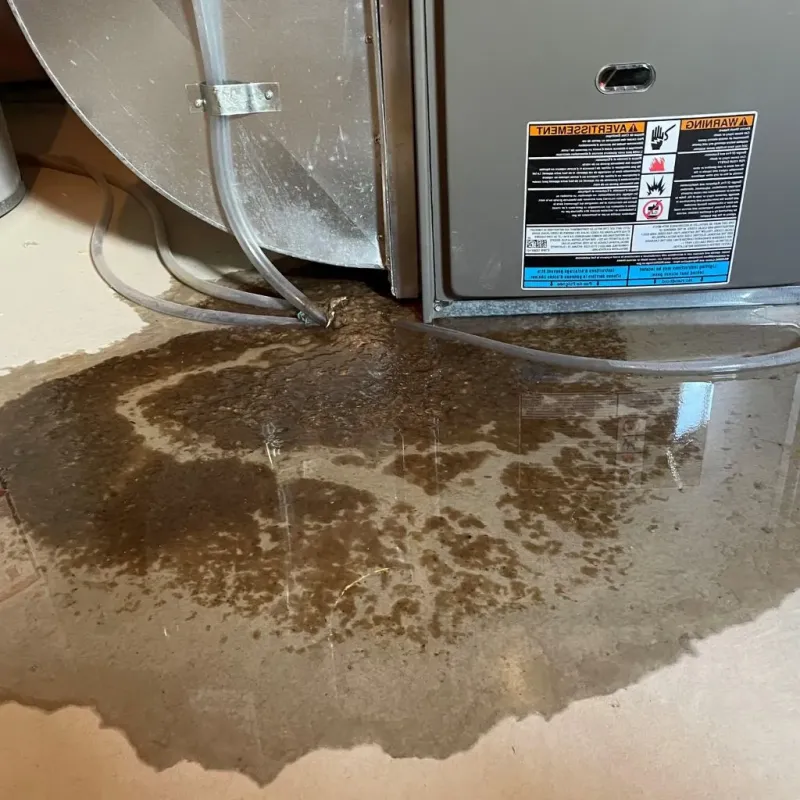 Pipe Burst and Leak Restoration in Sandstone, MN